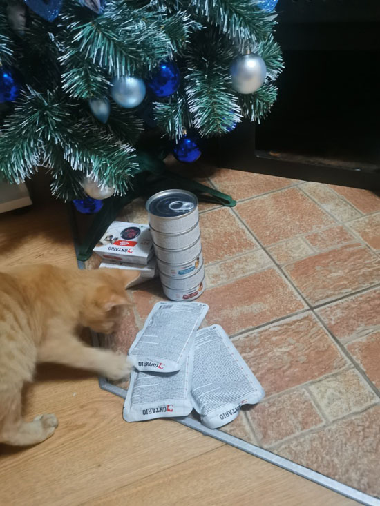 Navždy s láskou tlapičkám 20.12